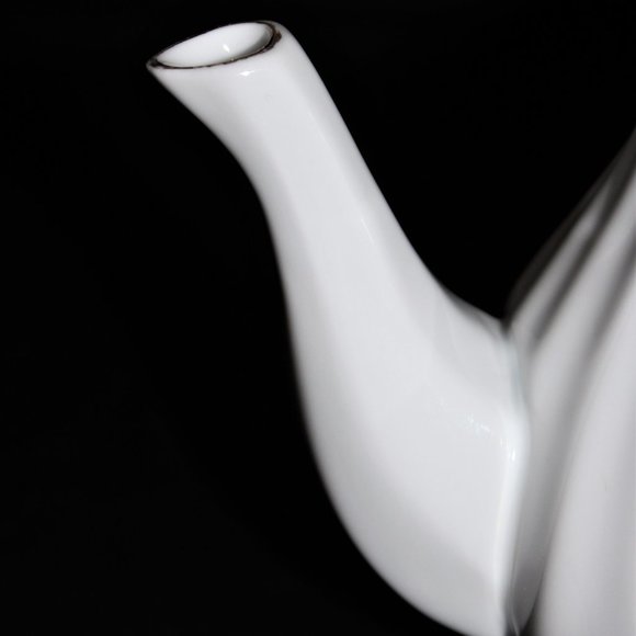 Royal Oak Wild Pink Roses with Daisies Teapot | Vintage Royal Oak Tea Pot - Picture 3 of 15